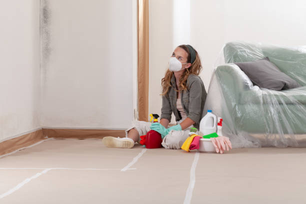 Reliable Mold Inspection contractor in Bloomington, MN by WQB Mold Removal
